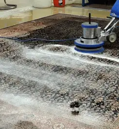 Professional rug cleaning with a rotary floor machine and shampoo foam, deep-cleaning an area rug Nashua, NH.